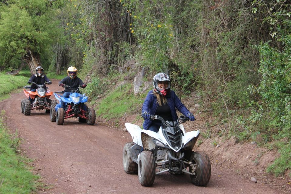 Three quad bikes riding a dirt road between trees