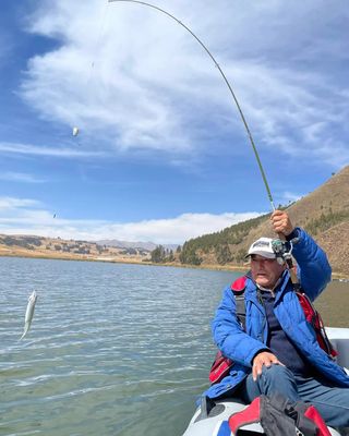 Angler landing a silverside on an Andean lake